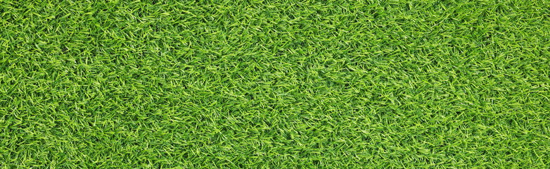 Fresh green grass as background outdoors, top view. Banner design