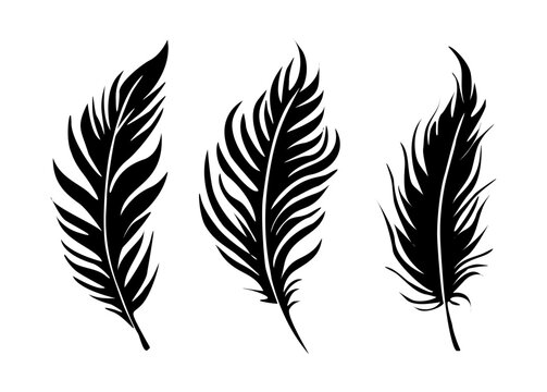 Bird Feathers vector illustrations set in a flat style. Black Icons, logo, symbol isolated on white background. Quill pen for ink drawing, calligraphy art. Bird feathers for writing. Retro tools.