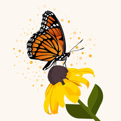 Butterfly on a flower