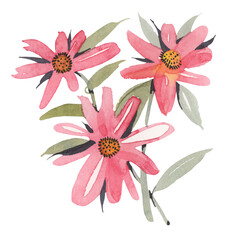 Watercolor  flowers isolated on a white background. Hand-drawn illustration. 
