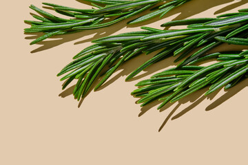 Fresh rosemary on a beige background.