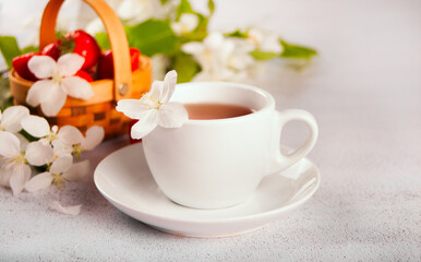 Cup of tea with white apple blossoms. Spring concept.