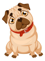 Pug sitting. Cute dog character. Cartoon pet