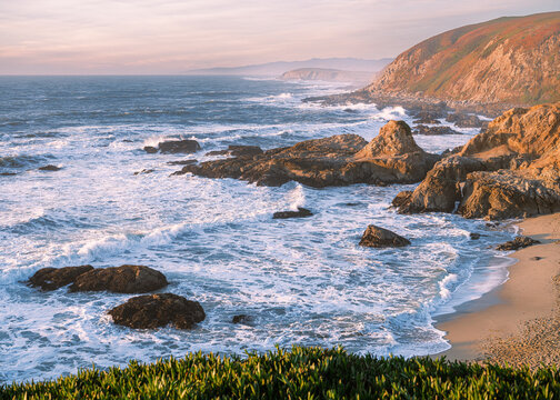 Bodega Bay, Californian Coastline