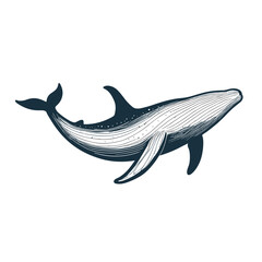 Whale illustration vector silhouette design