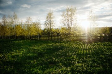 The rays of the sun through the fence trees spring