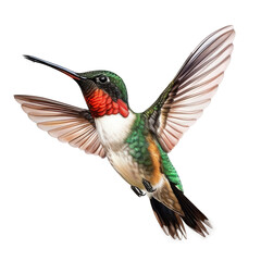 Fototapeta premium Hummingbird Flying Through the Air With Spread Wings, Isolated on a Transparent Background