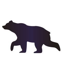 Walking bear silhouette on white background. Animal figure isolated
