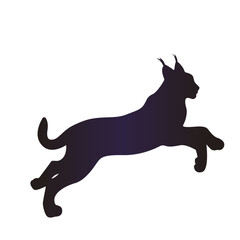 Running lynx silhouette on white background. Animal figure isolated © Tatyana
