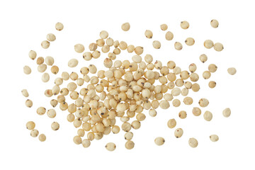 Sorghum seeds isolated on white background. Top view. Flat lay.