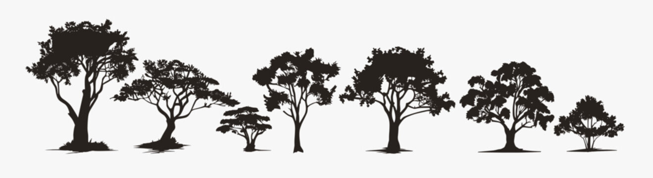 Vector tree black silhouette forest bush landscape background realistic foliage. Black tree vector silhouette set