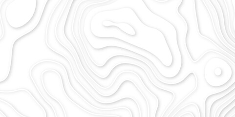 Abstract white wavy line 3d paper cut white background. abstract white background with smooth wavy layers. silver grid map line topography mount contour map .