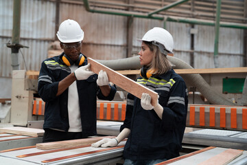 Male and female carpenter inspecting quality of processed wood in lumber storage factory. Warehouse...