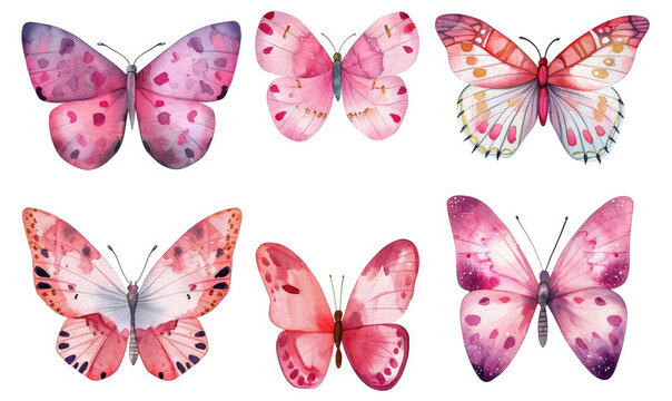 Butterflies clipart set. Pink butterfly. Girl baby shower design elements. Party invitation, birthday celebration. Spring or summer decoration
