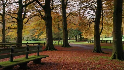 autumn in the park