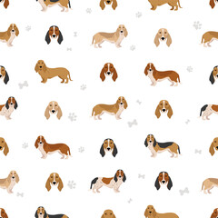 Norman Artesian Basset seamless pattern. All coat colors set.; All dog breeds characteristics infographic