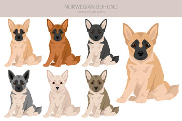 Norwegian Buhund puppy clipart. Different poses, coat colors set