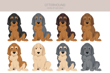 Otterhound puppies clipart. Different poses, coat colors set