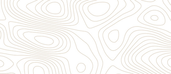 Fototapeta na wymiar Abstract topographic Contour Map Subtle White Vector Background . Blank Detailed topographic patter line map background .Topographic Map Of wild west Abstract Vector Background.