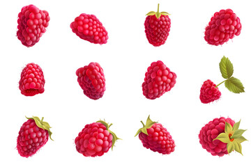 Collection or set of various fresh ripe raspberries isolated on white or transparent background 
