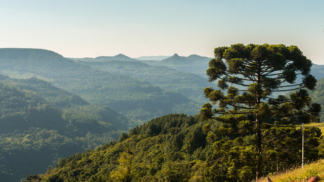 Valley of the pyramids viewpoint in Lagoas region - Countryside of Sao Francisco de Paula, Serra Gaucha (South of Brazil)