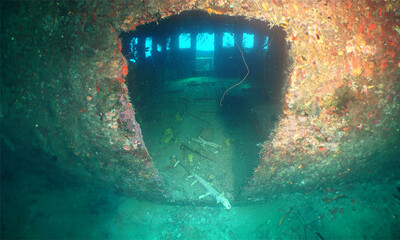 diver exploring a shipwreck on the island of Curacao