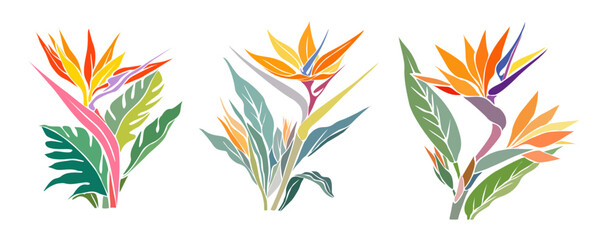 Fototapeta na wymiar Set of Strelitzia, Bird of Paradise flower. Tropic floral colorful illustration on transparent background. Exotic botanical outline drawing. Vector color block design for logo, wall art, packaging.