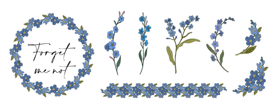 Set of forget me not flowers. Myosotis Trendy botanical elements for wedding cards, invitations. Hand drawn colored branches, wreath, border, frame. Vector illustrations on transparent background.