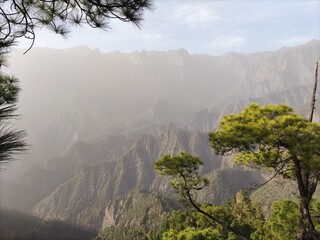 fog in the mountains