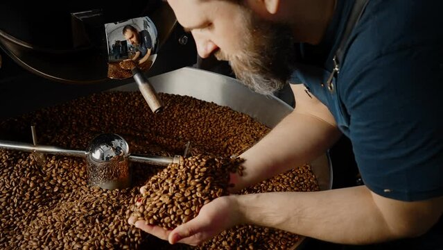 Worker checking quality of roasted coffee beans