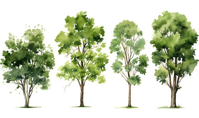 Tree set with green leaves isolated on white, tree collection, watercolor illustration generative ai
 - obrazy, fototapety, plakaty