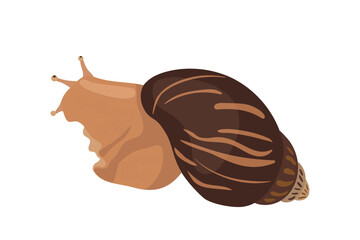 Large domestic snail Achatina. Vector realistic texture digital drawing with noise. Home pet with shell shell