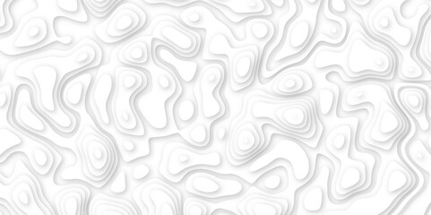 white paper and relief wave and cruve line paper cut background. soft white color seamless pattern, vector illustration, multi layer cutout banner design. topo counter map in 3d view.