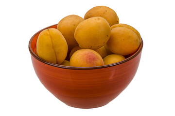 Yellow bright apricot