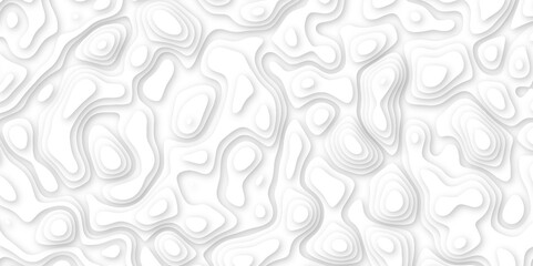 Abstract geometric layered curve line white background. 3d white papercut topography relief. Cover layout template. paper cut topography soft background banner texture. light liquid wave illustration.