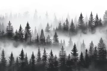 Foto op Canvas Majestic spruce, larch, and pine trees emerge from the misty fog in a serene sprucefir forest, creating a tranquil landscape in the heart of the oregon wilderness © mendor