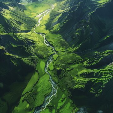 Beautiful landscape from a bird's eye view. Aerial photography. The river wanders between the woods.  High resolution