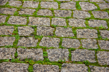 Paving stones overgrown with grass
