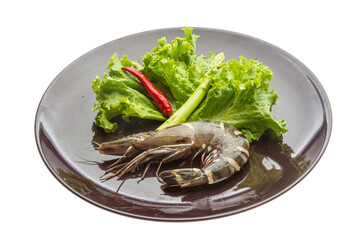 Tiger prawn
