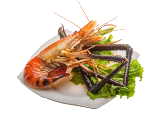 Giant Freshwater Prawn