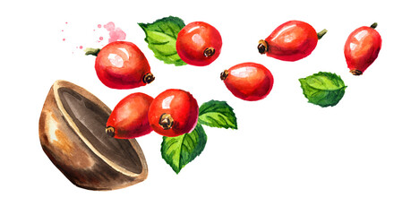 Bowl of wild rose or Rosehip with ripe red briar fruits. Hand drawn horizontal watercolor illustration, isolated on white background