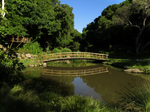 Rinc&oacute;n 