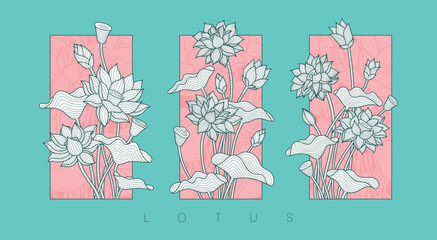 Lotus Flower Illsutration Vector