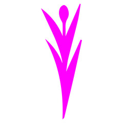 Beautiful romantic flower