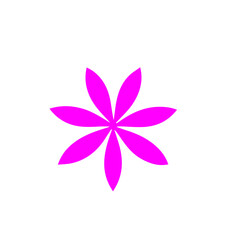 Beautiful romantic flower