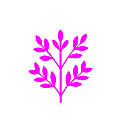 Beautiful romantic flower