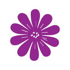 Beautiful romantic flower