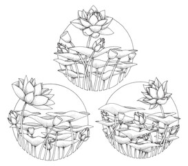 Set of Lotus Flower, Hand Drawn Illustration Vector