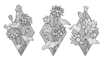 Set of Lotus Flower, Hand Drawn Illustration Vector
