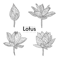 Low Poly Line Lotus Flower set, Hand Drawn Illustration, Isolated Vector